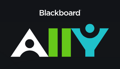 Blackboard Ally text